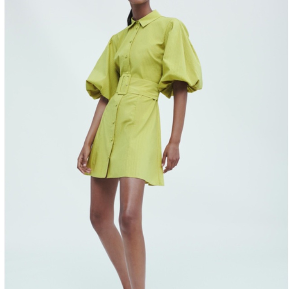 Zara Green Voluminous Sleeve Dress - Picture 3 of 6